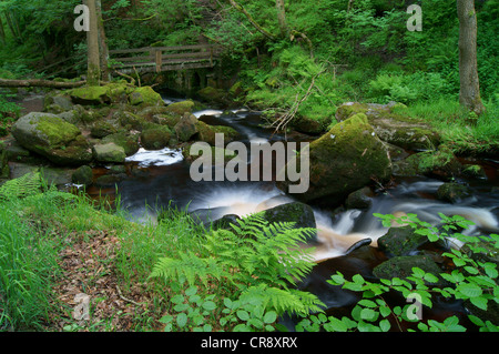 UK,Derbyshire,Peak District,Burbage Brook Flowing Through Padley Gorge Stock Photo