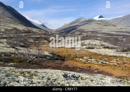 Fjell landscape in front of snow covered mountains in Rondane National Park, Norway, Europe Stock Photo