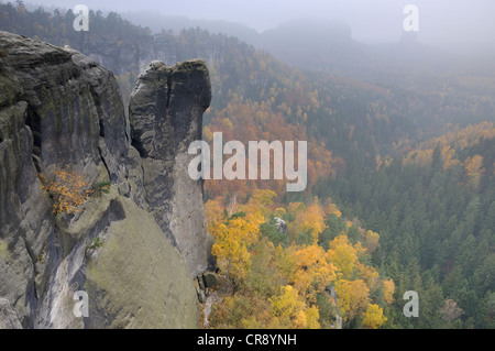 Autumn in the Elbe Sandstone Mountains, Saxon Switzerland, Saxony, Germany, Europe Stock Photo