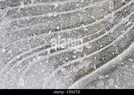Structures on a frozen ice surface, Middle Elbe Biosphere Reserve, Saxony-Anhalt, Germany, Europe Stock Photo