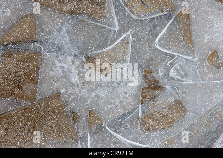 Frozen puddle Stock Photo