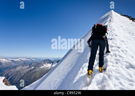 Climber ascending the Mt. Hochfeiler, Pfitschertalvalley, behind the Zillertal mountains, South Tyrol, Italy, Europe Stock Photo