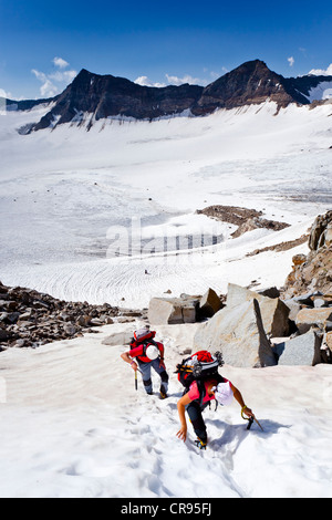 Climbers ascending to Mt. Vertainspitze, Ortles area, South Tyrol, Italy, Europe Stock Photo