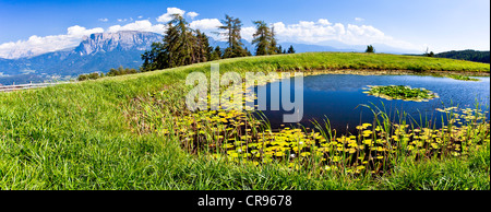 View to Schlern, Rose Garden and the Latemar Mountains seen from Ritten Mountain, Alto Adige, Italy, Europe Stock Photo