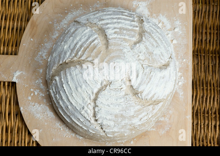 Rye bread floured with Manitoba flour and cut, recipe is available Stock Photo