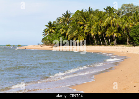 Sandy beach with coconut palm trees north of Townsville, Queensland, Australia Stock Photo