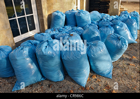 blue refuse bolsas