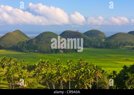 Chocolate Hills, Bohol Island, Philippines Stock Photo