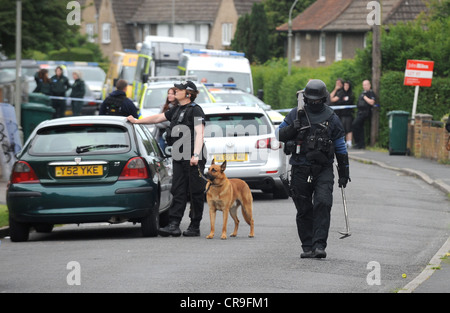 Police some of them armed surround a house in Colbourne Avenue Brighton today Stock Photo