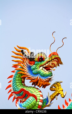 Chinese dragon is a symbol of the Emperor Stock Photo