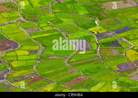 Phillipines Rice Terrace Aerial view of Banaue Rice Terraces, Banaue, Ifugao, Philippines Stock ...