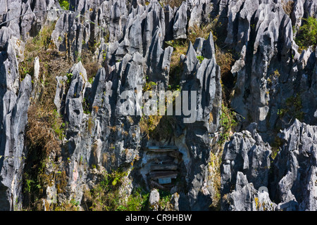 Hanging coffin in the limestone mountain, Sagada, Mountain Province, Philippines Stock Photo