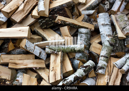 Nature firewood Stock Photo
