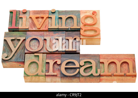 living your dream - happiness concept - isolated phrase in vintage letterpress wood type Stock Photo