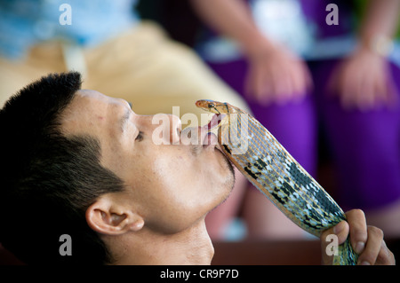 Snake charmer kissing a snake in Phuket snake farm, Thailand Stock Photo