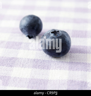 Blueberries photographed in a studio Stock Photo