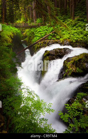 Sol Duc Falls in Olympic National Park, Washington Stock Photo
