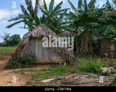 The front entrance of a typical hurricane shelter on a farm near the town of Viñales in western Cuba. Stock Photo