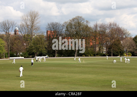 Chesterfield Cricket Ground Stock Photo