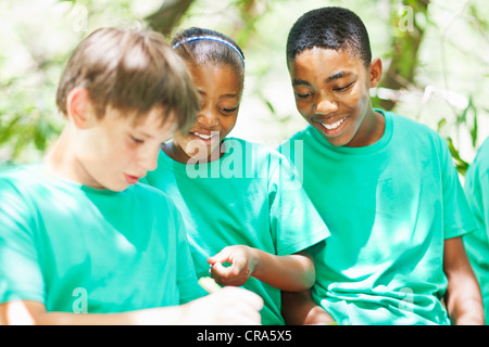 Students examining plants outdoors Stock Photo