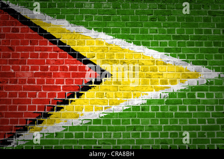 An image of the Guyana flag painted on a brick wall in an urban location Stock Photo