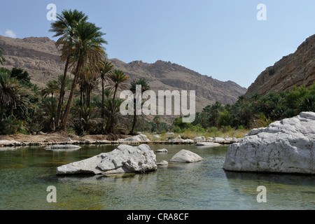 View of the Wadi Bani Khalid in Oman, Middle East Stock Photo