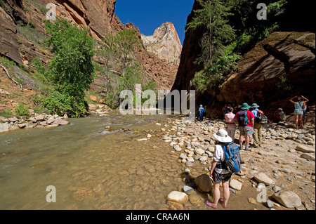 Narrows, Virgin River, Zion National Park, Utah, USA Stock Photo