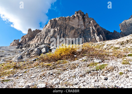 Tre Cime di Lavaredo, Drei Zinnen, Dolomites, Italy, Europe Stock Photo