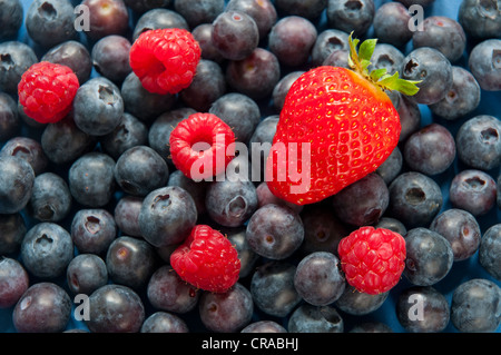 Strawberry, blueberries and raspberries. Close view. Stock Photo