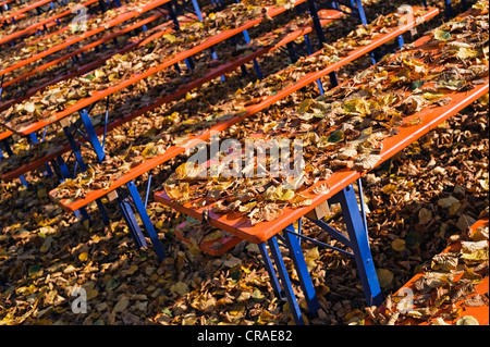 Autumn leaves on tables and benches, Bavaria, Germany, Europe Stock Photo