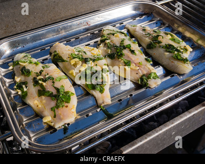 Gilthead seabream filets with basil and garlic are being grilled in a grill pan. Stock Photo