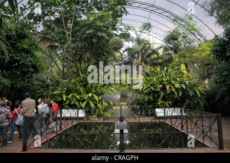 Botanical Garden, Valencia, Spain, Europe