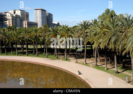 Turia Gardens, Jardin de Turia, Valencia, Spain, Europe Stock Photo