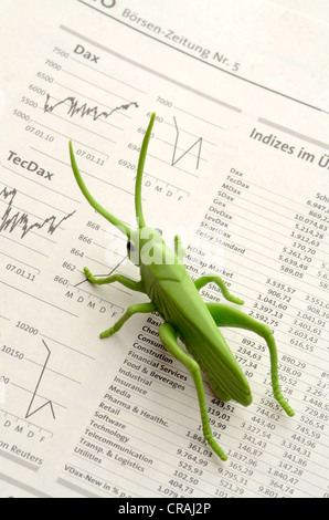 Locust on stock market reports, symbolic image for companies buying other companies in order to liquidate them Stock Photo