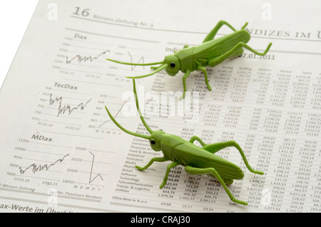Locusts on stock market reports, symbolic image for companies buying other companies in order to liquidate them Stock Photo