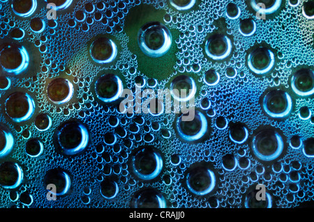 Condensed water, water drops on a glass plate Stock Photo