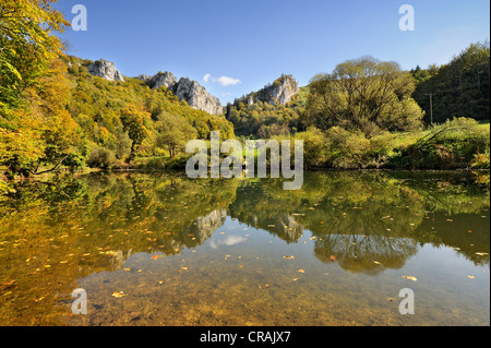 Jurassic limestone rocks and autumnal beech forest are reflected in the Danube, Tuttlingen district, Baden-Wuerttemberg