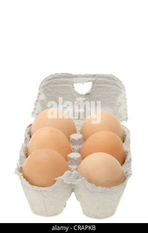 Six fresh eggs in an egg box. Stock Photo