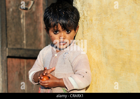 Little boy with the Indian dessert Gulab Jamun in his hands, portrait, Orchha, Madhya Pradesh, northern India, India, Asia Stock Photo