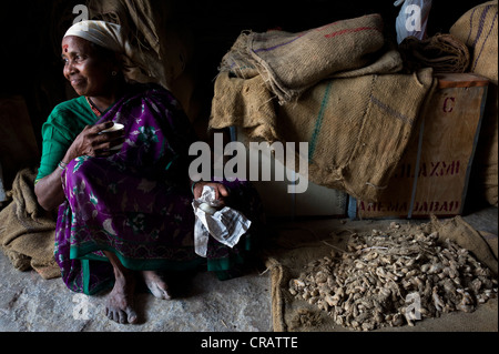 Female worker having a break and drinking tea in a ginger storage room, Jew Town, Kochi, Cochin, Kerala, southern India, India Stock Photo