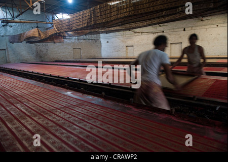Dyeing of previously printed fabric, Sanganer dyeing centre near Jaipur, Rajasthan, India, Asia Stock Photo
