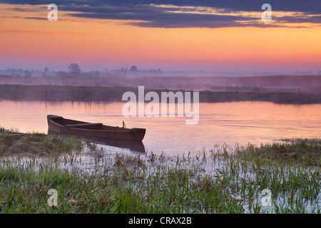 Sunrise landscape, Narew National Park, Poland