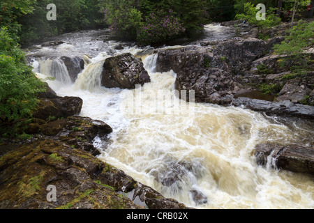Rapids after the rain on the Afon Llugwy, Pont Y Pair, Bettws Y Coed Stock Photo
