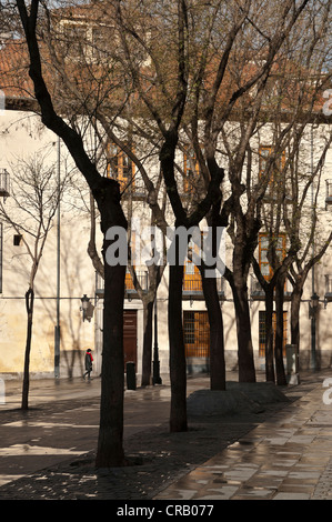 the Plaza Conde Barajas, south of the Plaza Mayor, in what is known as Habsburg Madrid or Madrid de los Austrias, central Madrid Stock Photo