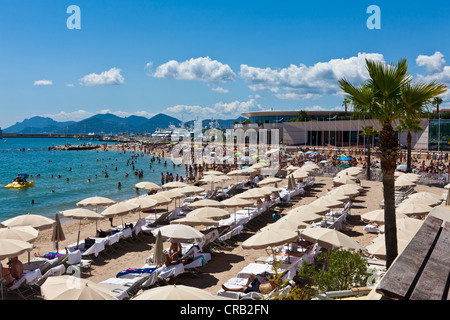 Beach of Cannes on the Croisette promonade, Cote d'Azur, Southern France, France, Europe, PublicGround