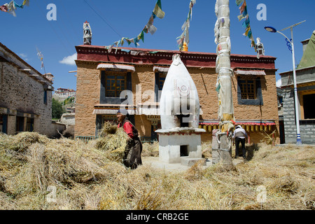 Tibetan farmersharvesting barley in a village square with traditional Tibetan houses, monastery and stupa, Lhasa, Gongkar, Tibet Stock Photo