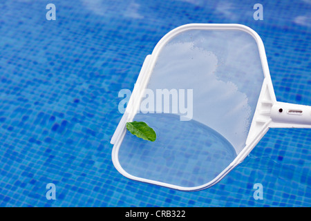 Swimming pool, cleaning the water with leaf skimmer or pool leaf net Stock Photo