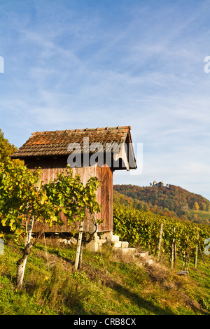 Hut in the vineyards of Stein am Rhein, Canton of Schaffhausen, Switzerland, Europe Stock Photo