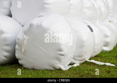 Wrapped round bales of hay, stacked Stock Photo