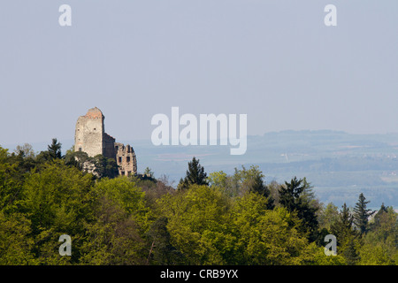 Ruine Altbodman castle ruins, Bodman, Lake Constance, Landkreis Konstanz county, Baden-Wuerttemberg, Germany, Europe Stock Photo